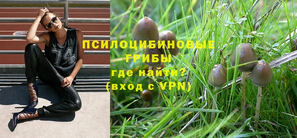 гашик Беломорск