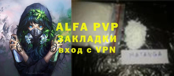 молекула духа Белоозёрский