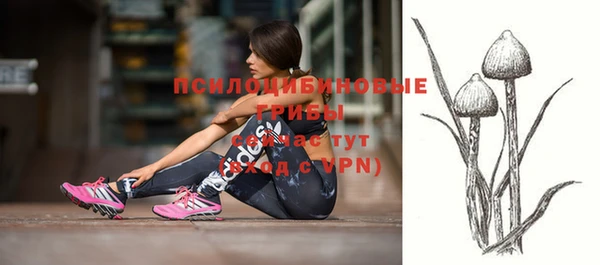 молекула духа Белоозёрский