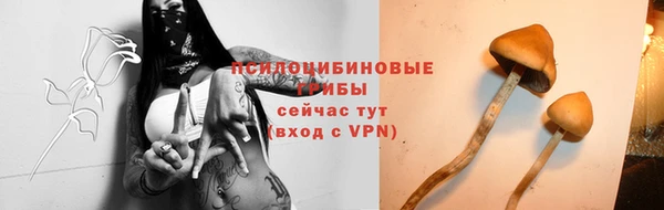 молекула духа Белоозёрский
