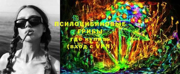 гашик Беломорск